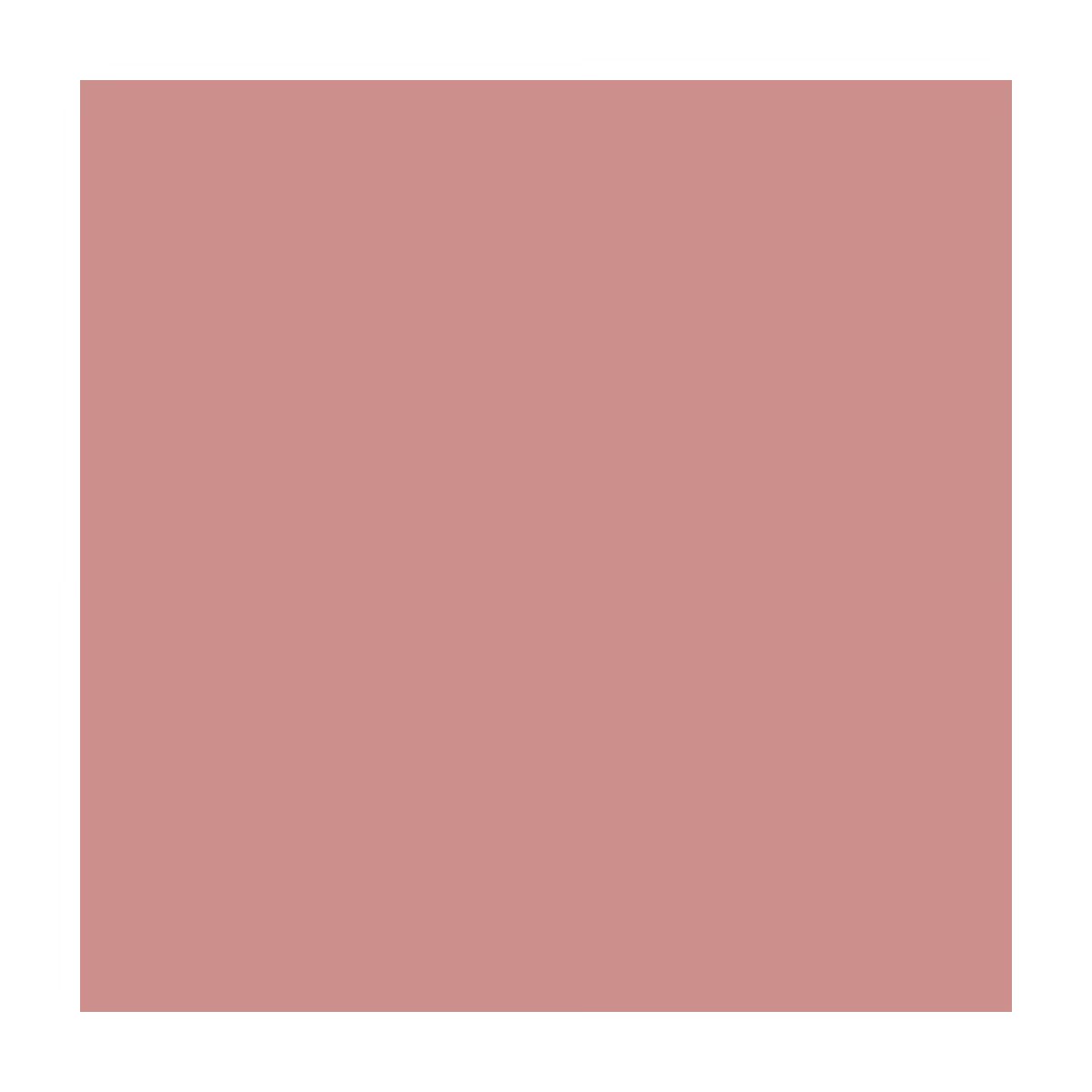 Pastel Nude Oje 769 Dreamer - Gratis 2