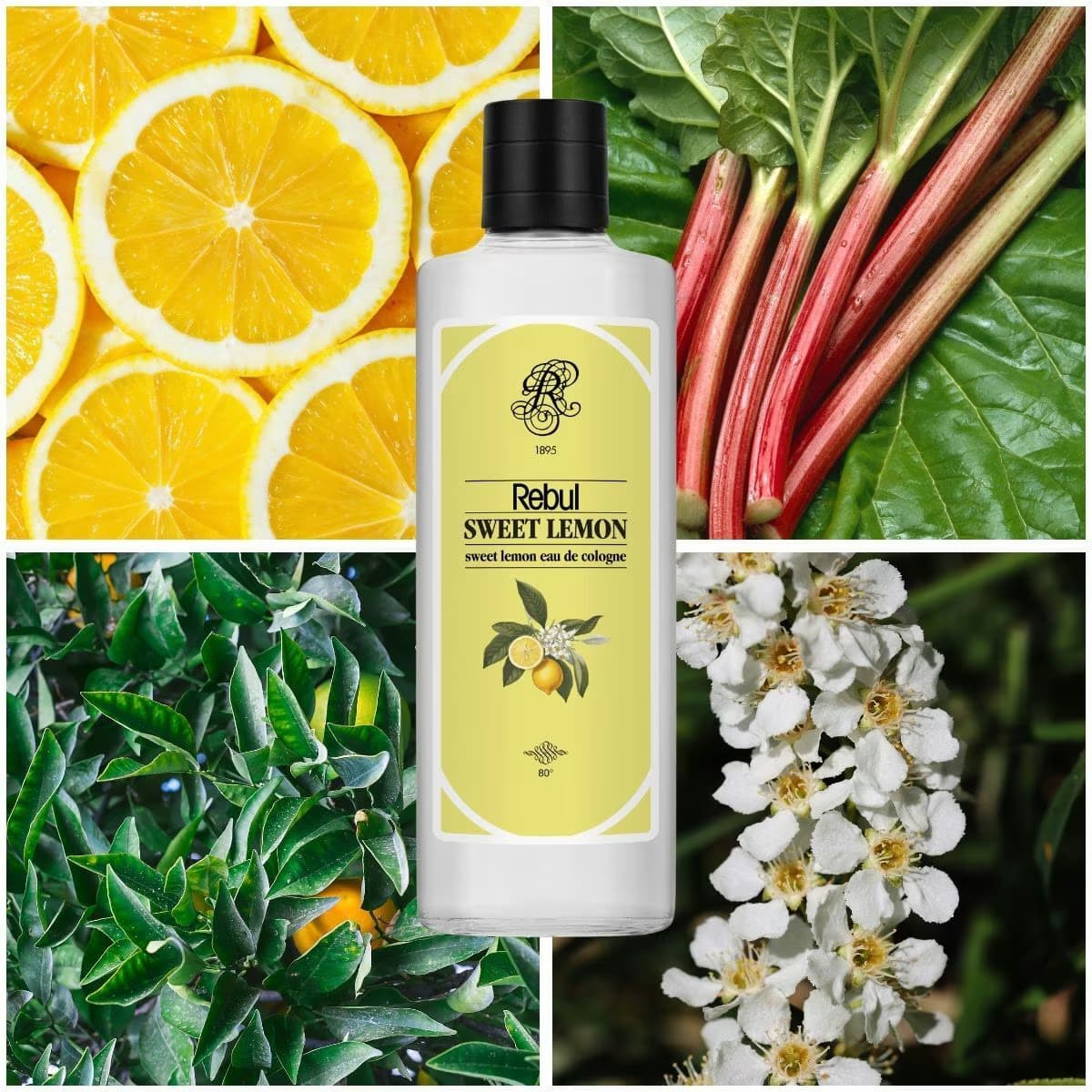 Rebul Sweet Limon Kolonyası EDC 250 ml 3