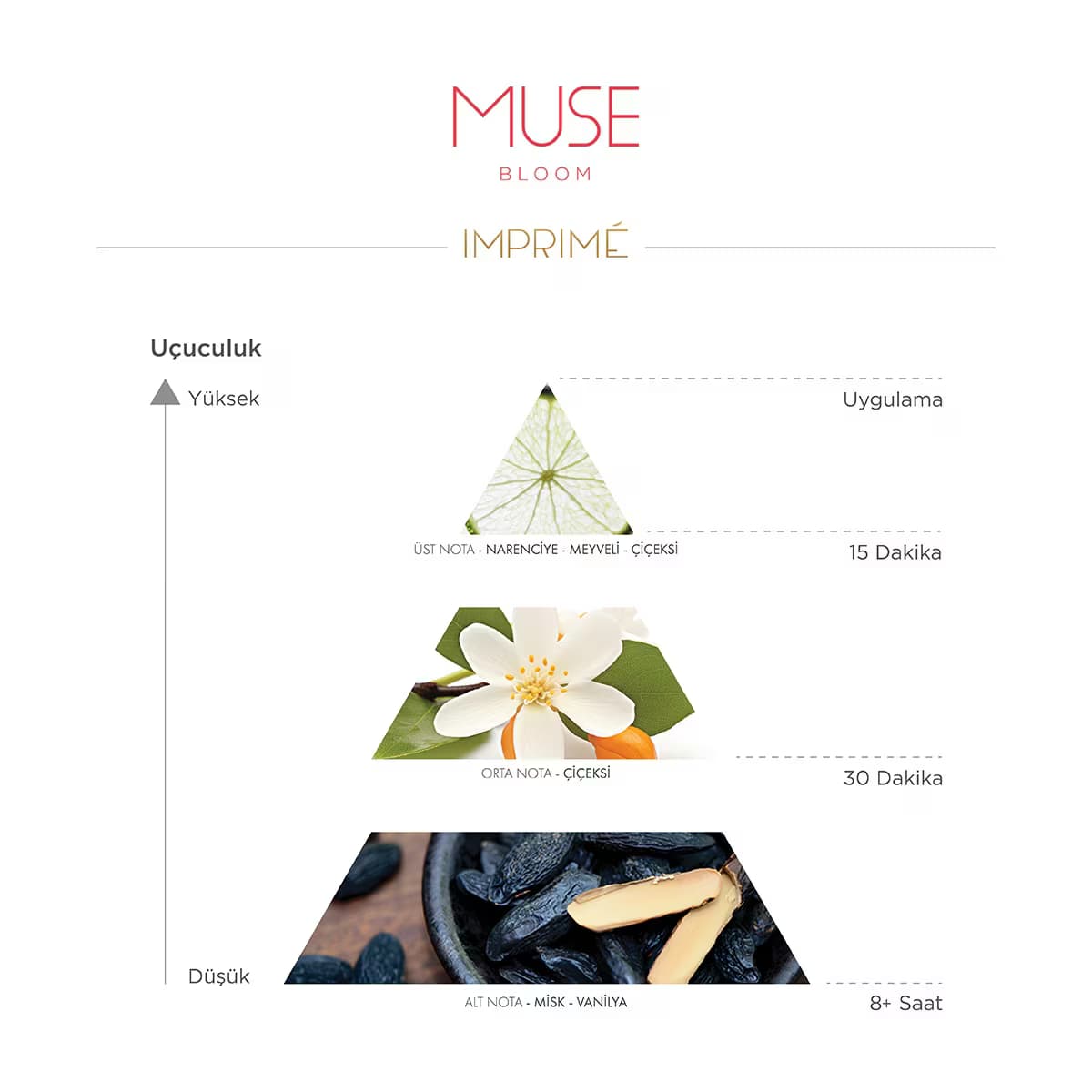 Imprime Muse Bloom Kadın EDP Parfüm 50 ml 5