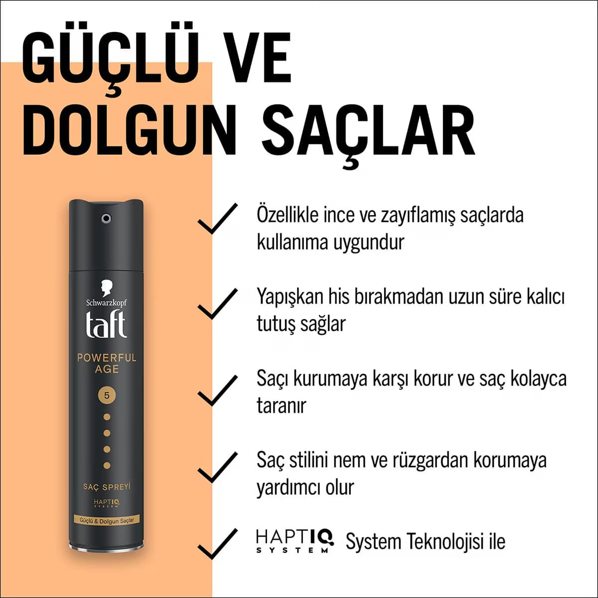 Taft Powerful Age Sprey 250 ml 2