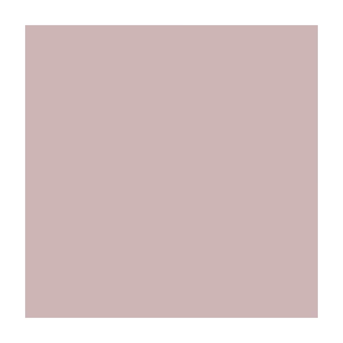 Pastel Nude Oje 762 Kind - Gratis 2