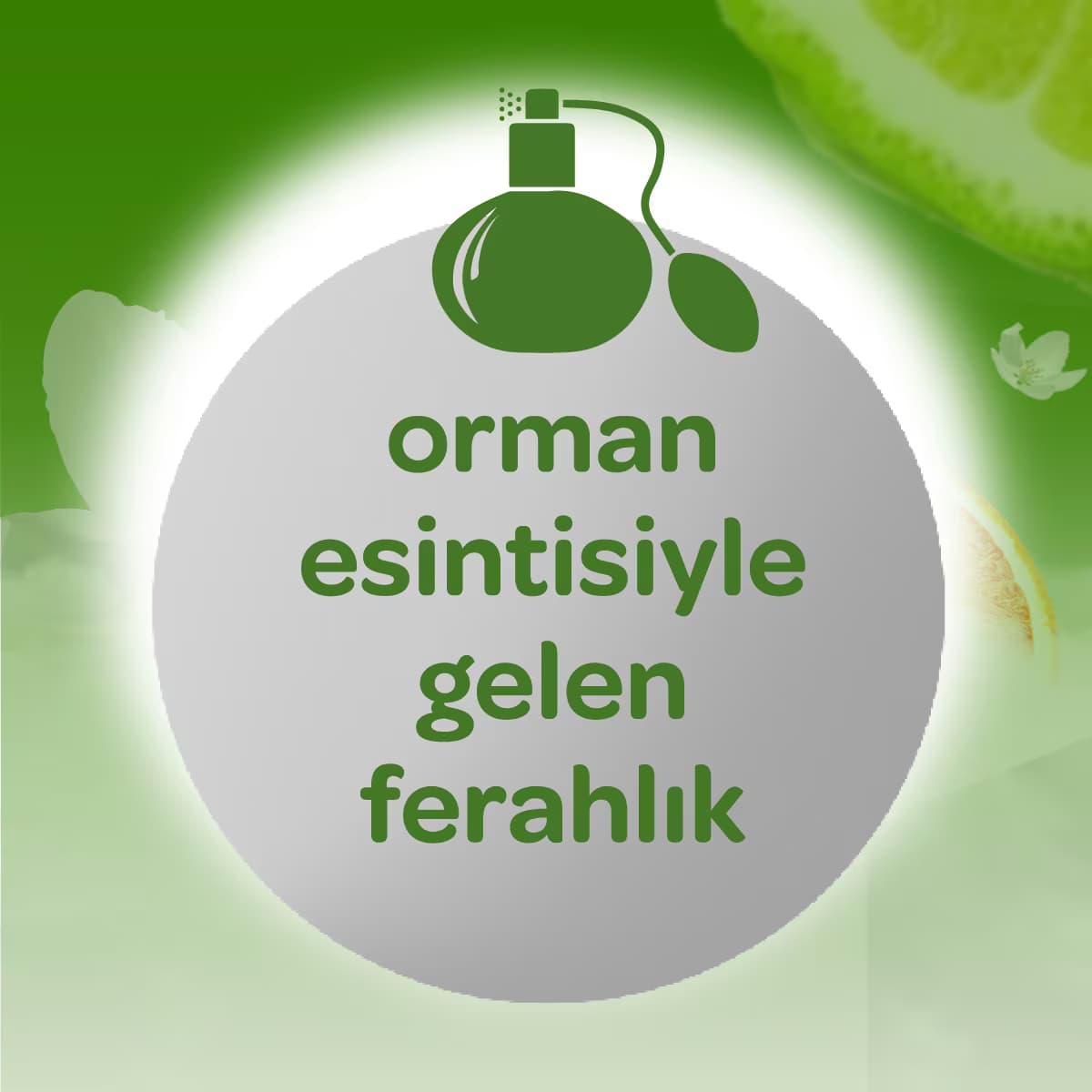 Dalin Orman Esintisi Bebek Kolonyası 150 ml 4