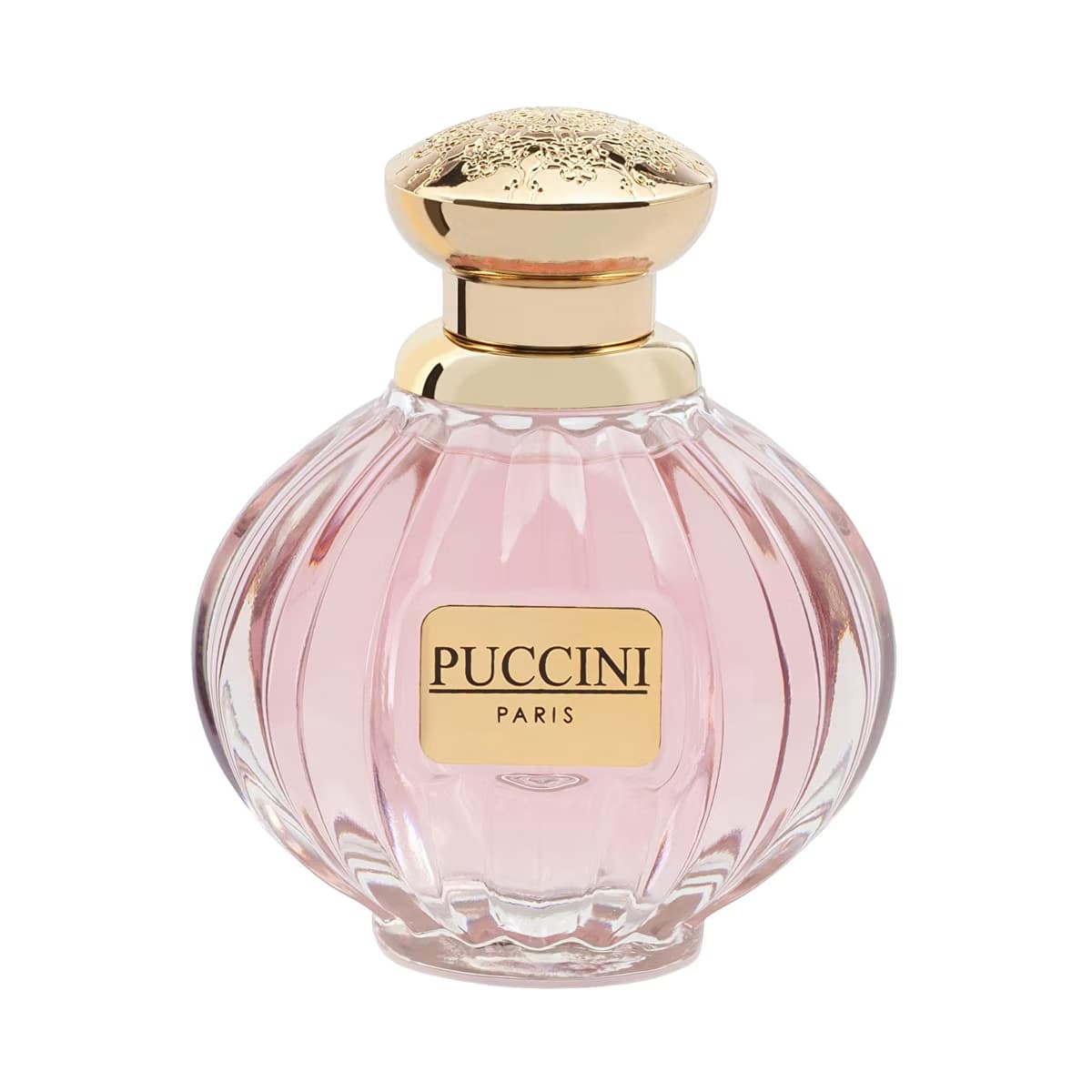 Puccini EDT Kadın Parfüm 100 ml - Gratis 3
