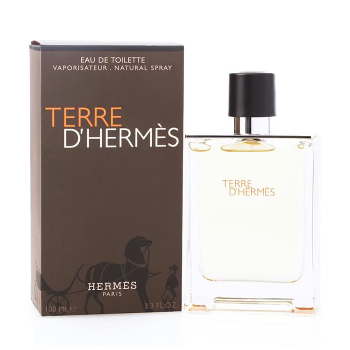 Hermes Terre Erkek Parfüm EDT 100 ml 2