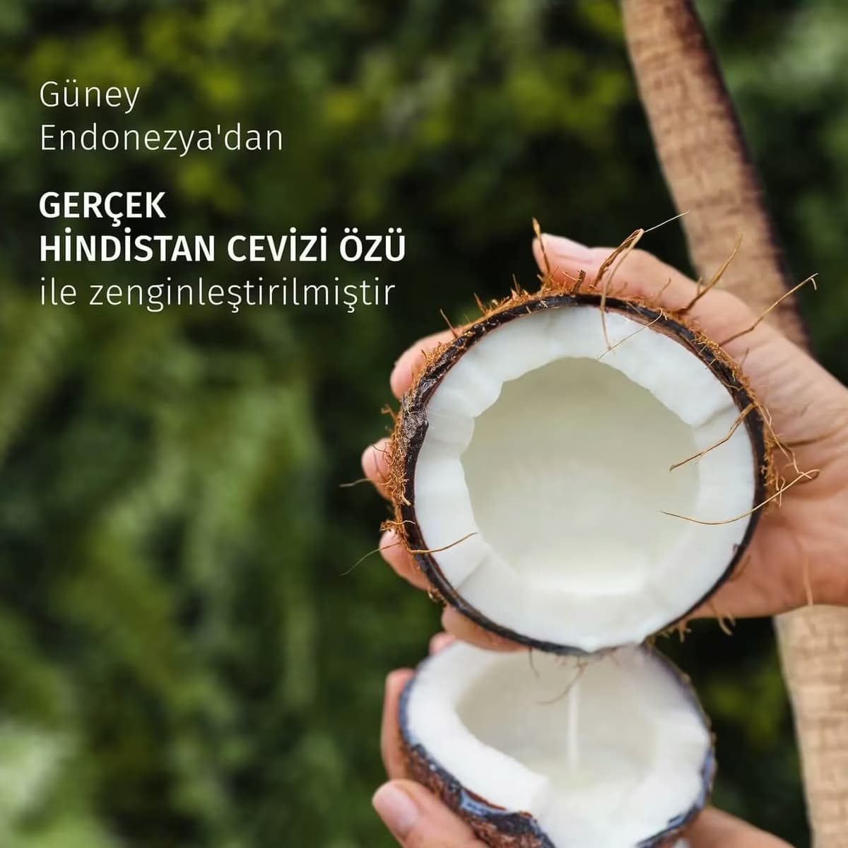 Herbal Essences Şampuan Coconut 350 ml 3