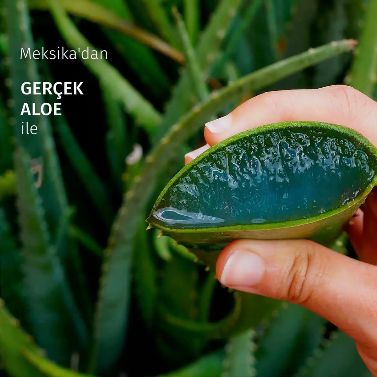 Herbal Essences Saç Kremi Aloe 250 ml 3