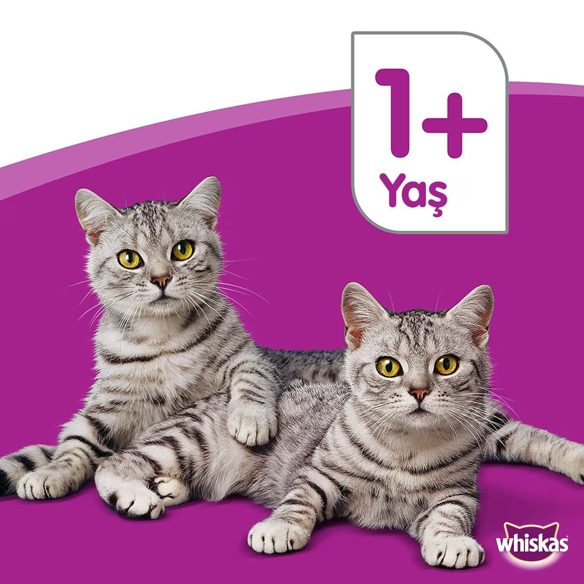 Whiskas Kedi Maması Konserve Tavuklu 400 Gr 2