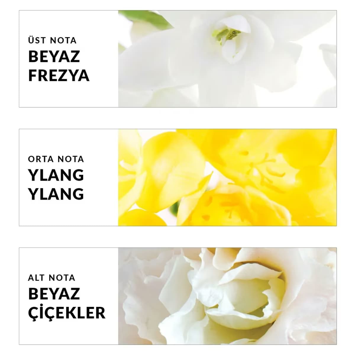 Avon Pure Blanca EDT 50ml 4