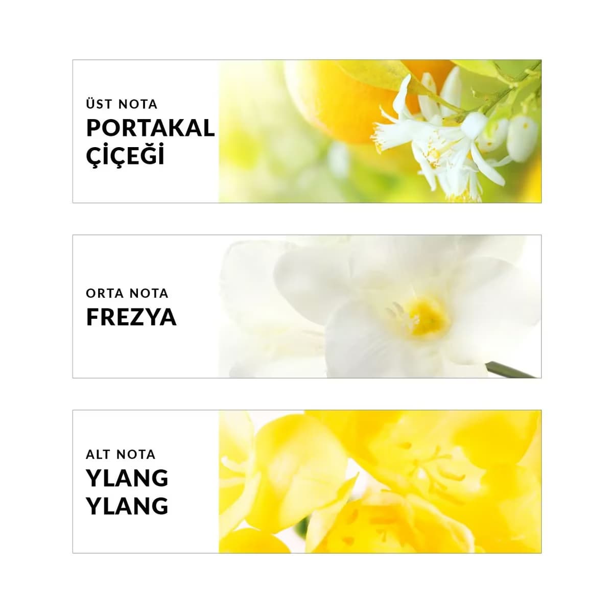 Avon TTA Today Kadın EDP 50ml 4