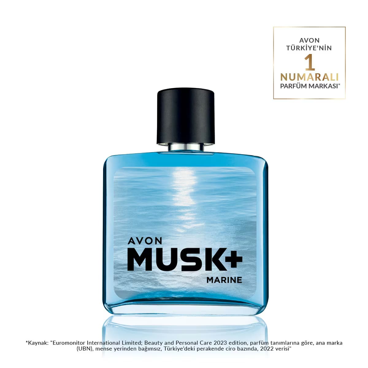 Avon Musk Marine Erkek EDT 75 ml