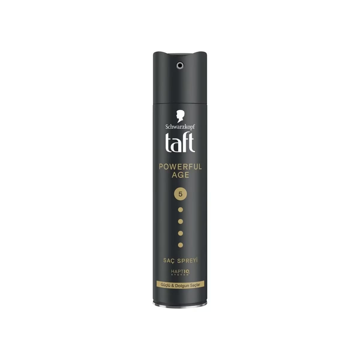 Taft Saç Spreyi Powerful Age 5 250 ml